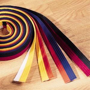 Two Tone Belt